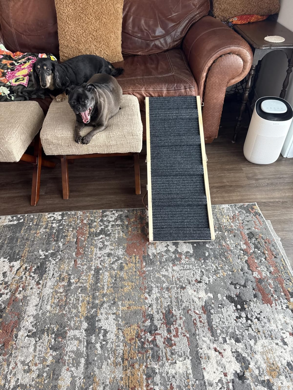 Dog Ramp for Small Dogs, Adjustable Wooden Dachshund Ramp for Couch customer photo 1