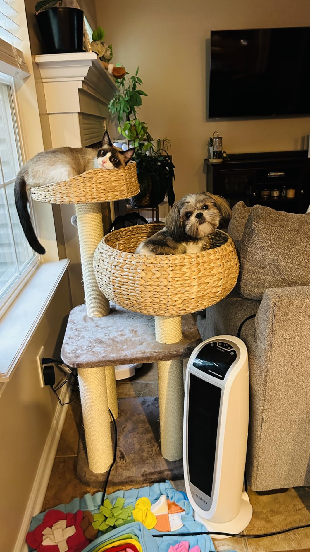 Tangkula Modern Cat Tree, Tall Cat Tower with Natural Sisal Scratching Post, Hand-Made Wicker Cat Condo & Top Perch, Funny Hanging Toy Ball, Cute Cat Tree Tower for Indoor Cats customer photo 2