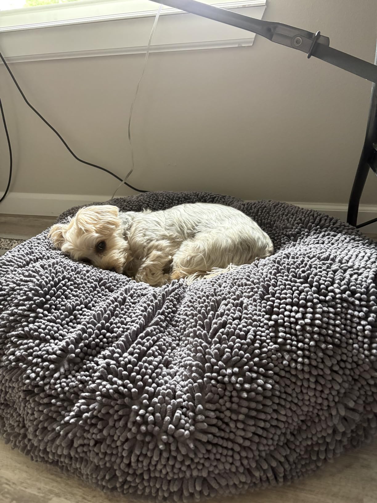 Muddy Mat®Cloud K-9 Bed for Dogs & Cats, Soft & Relaxing Donut Dog Bed, Chenille Material, Removable Cover, Washable & Dryer Safe–Seafoam Green Medium(35'x35') customer photo 2