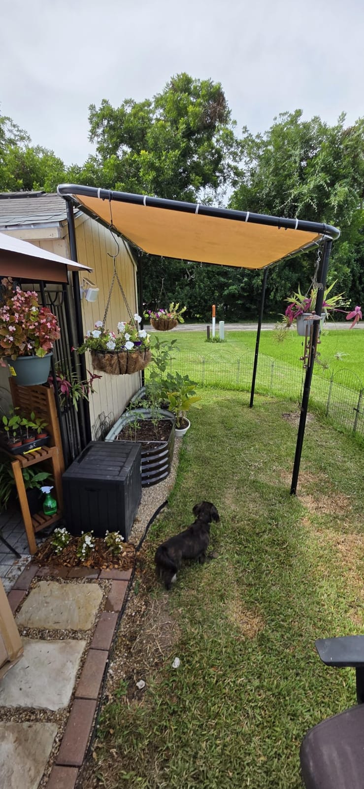 Aoxun 10x6 Lean-to Gazebo,Sloped Roof Pergola Porch Canopy Awning for Patio customer photo 1
