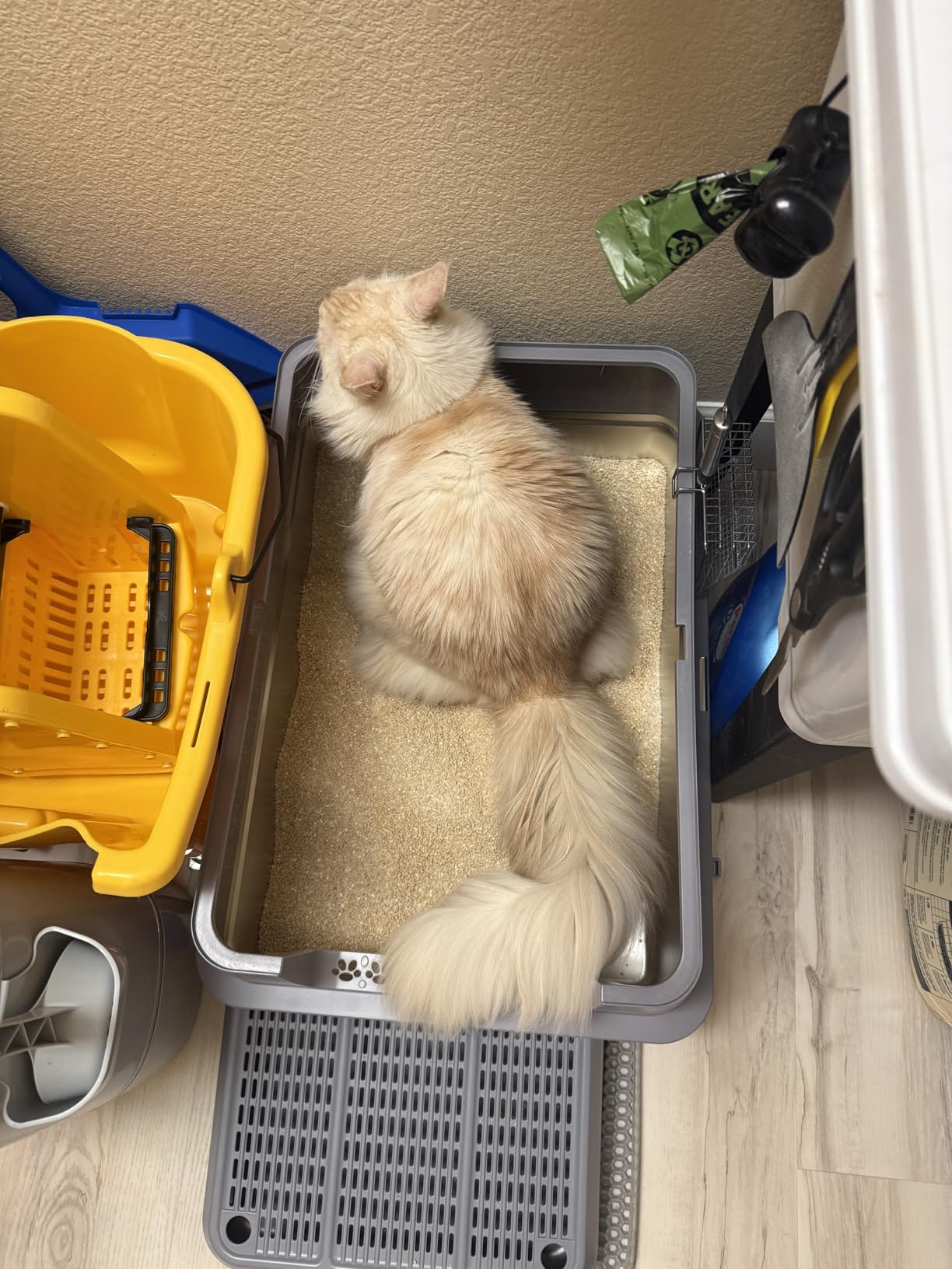 Stainless Steel Litter Box , 28