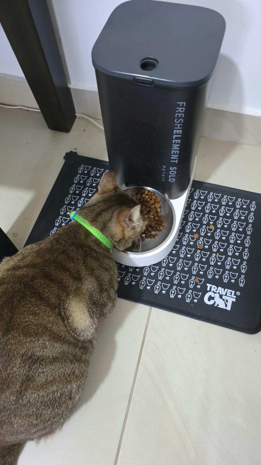 ROYAL CANIN Fussy Dry Cat Food for Adult Cats, Protein-Rich Kibbles for Picky Eaters, Poultry-Based, Supports Healthy Weight and Urinary Health, 7 lb Bag customer photo 1