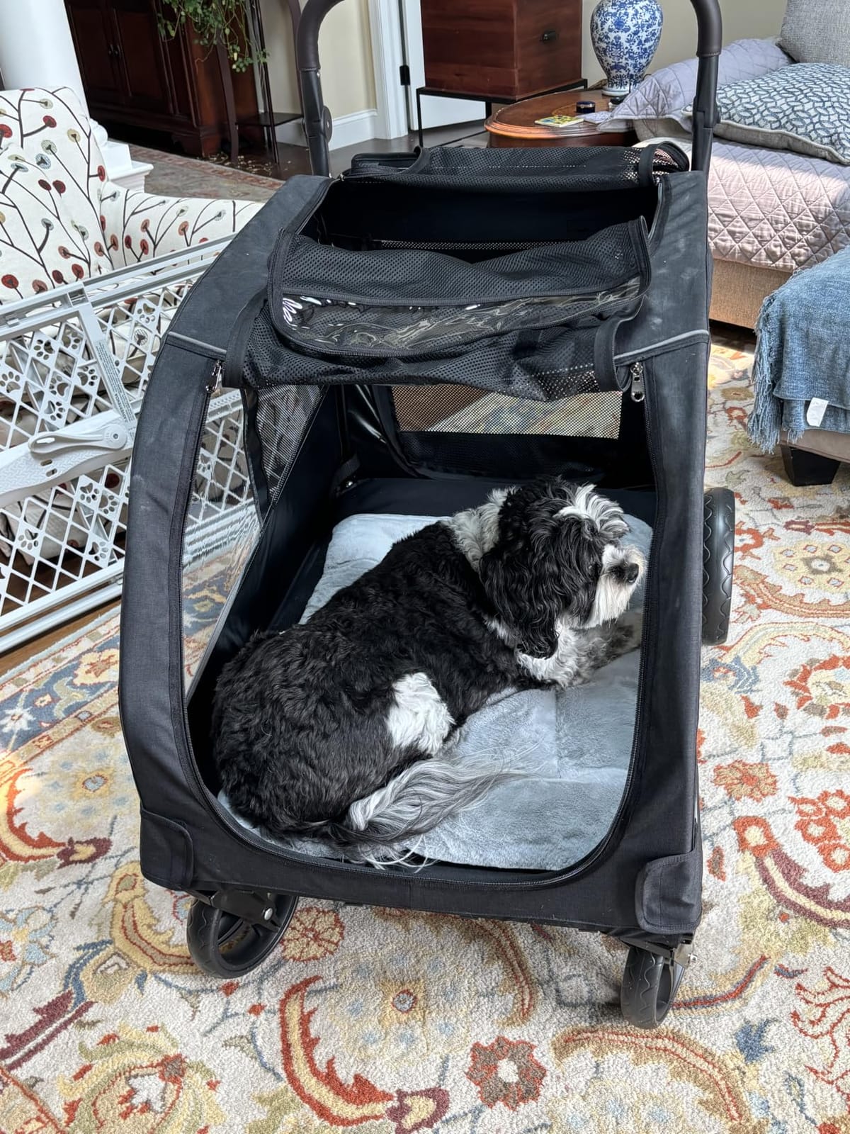 Dog Stroller for Large Dogs, Extra Large Pet Stroller for Medium Dogs, Dog Wagon Carriage, Foldable Design, Adjustable Handle, with Pocket, Up to 130 lbs, Black customer photo 1
