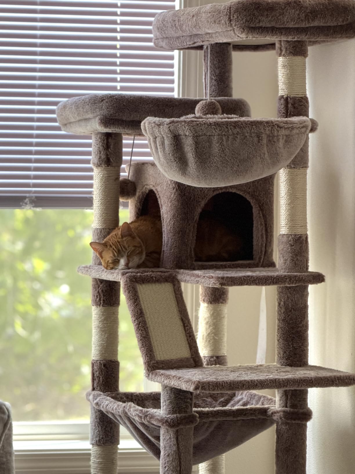 Heybly Tall Cat Tree for Large Cat, 75.2-inch Multi-Level Cat Tower HCT038G customer photo 1