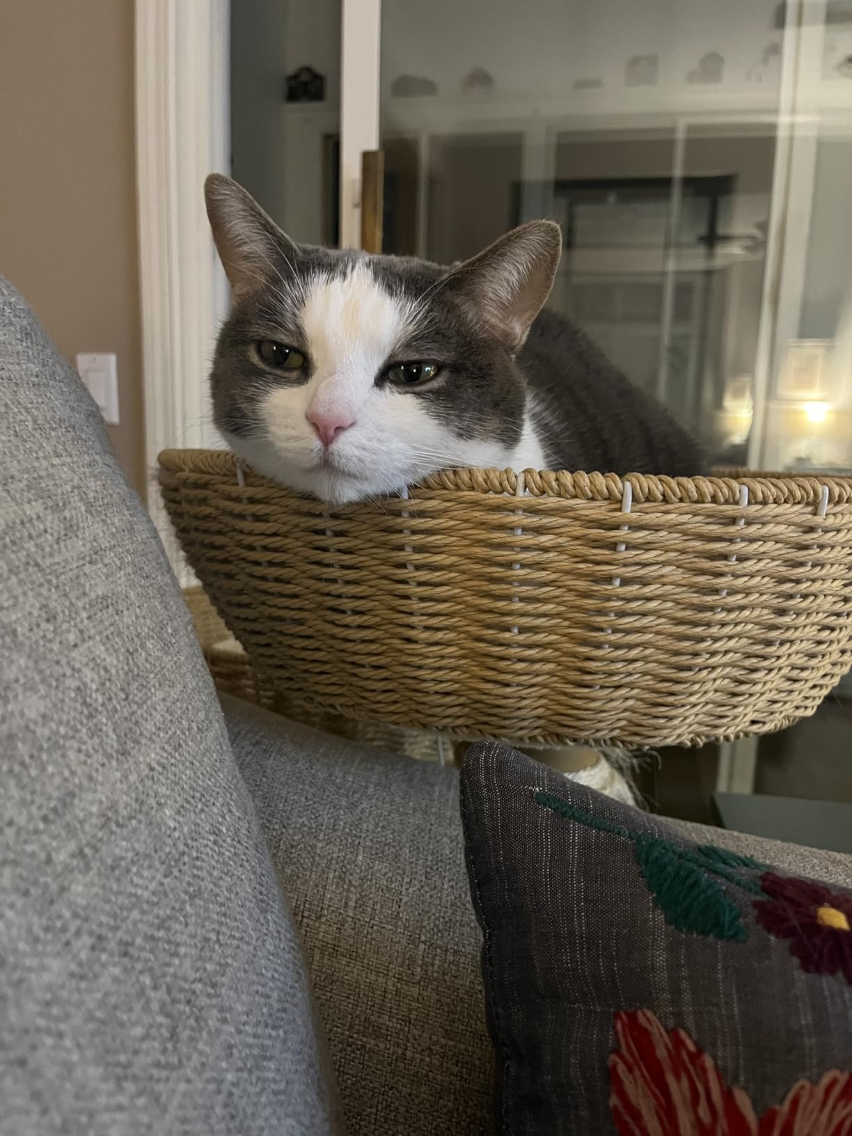 SHENGOCASE Modern Natural Wood Wooden Cat Tree Tower, 3 Large Rattan Wicker Basket Perch Beds with Cozy Cushion Sisal Scratching Post, Window View Design, for Cats up to 20 lbs customer photo 1