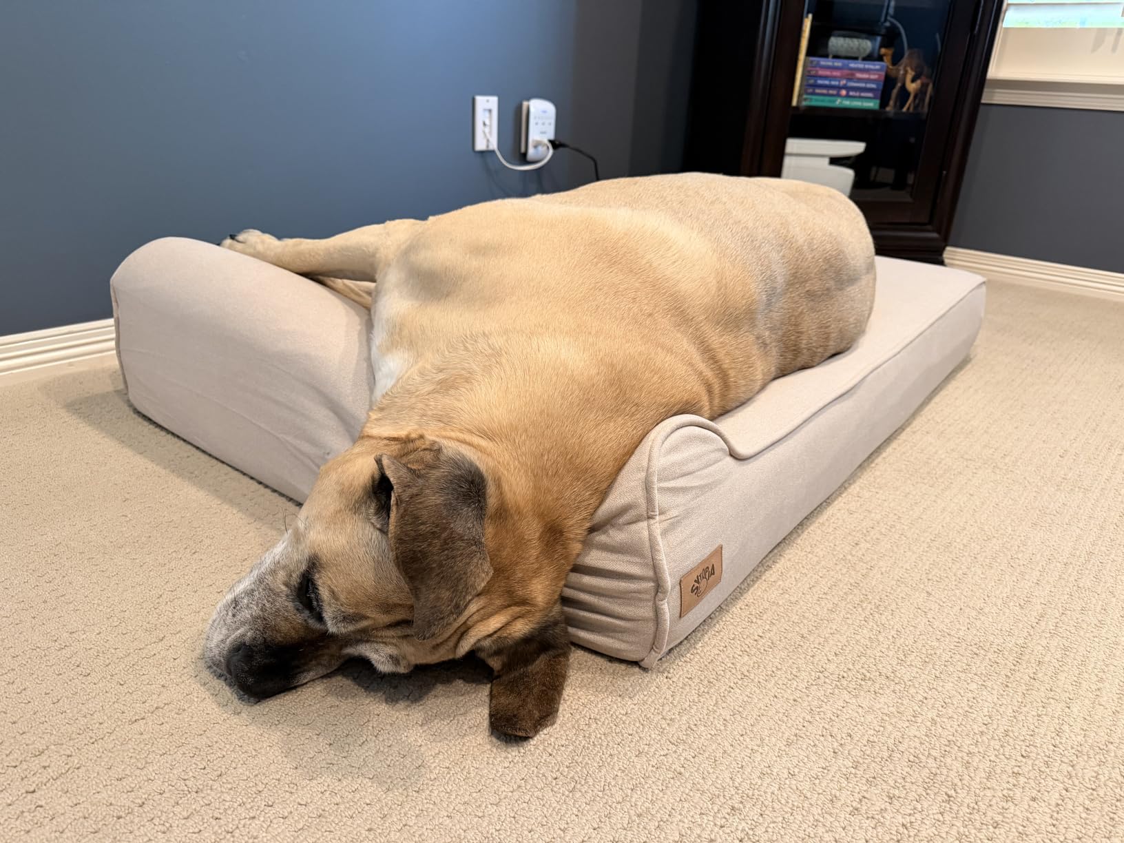 Sytopia Orthopedic Dog Beds for Extra Large Dogs, 7