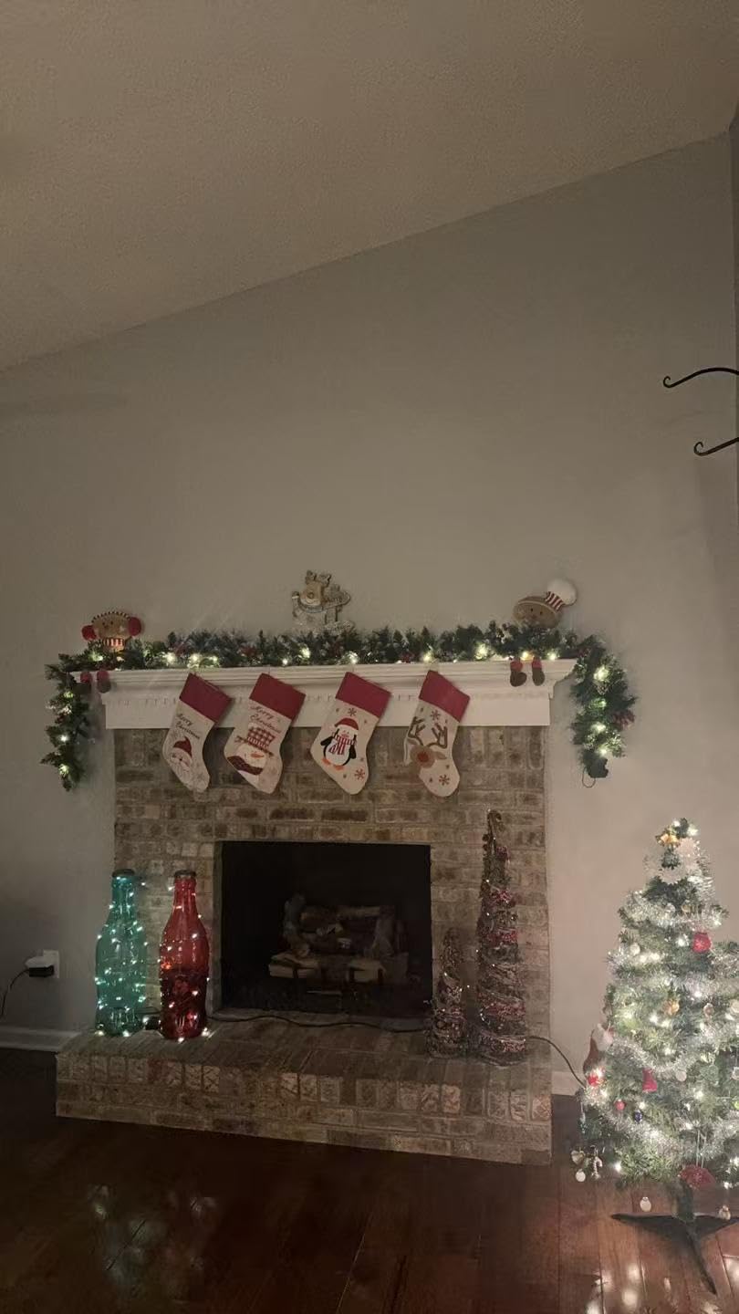 Christmas Garland with Lights - 9FT Pre-Lit Flocked Garland with 30 LED Bulbs, Red Berries, Pine Cones, Artificial Pine Battery Operated Garland for Fireplace, Staircase, Indoor & Outdoor Decoration customer photo 1