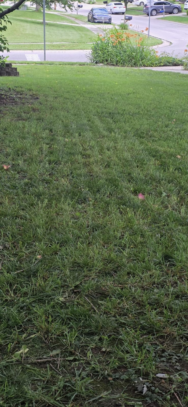Sunseeker X5 AWD Robot Lawn Mower, RTK, Vision AI, 0.5 Acre, Wire-Free customer photo 1