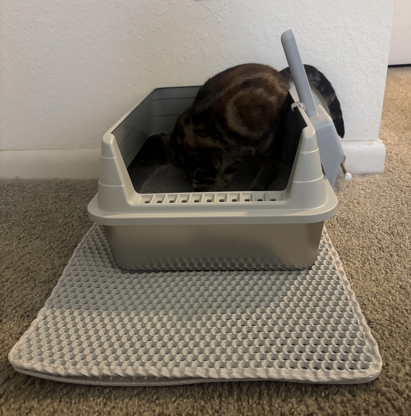 Extra Large Stainless Steel Litter Box with Lid, XL Odor Free Metal Litter Box with High Sides for Big Cats, Open Top Easy Cleaning Kitty Box Anti-Urine Leakage, Non-Sticky, Include Scoop, Black customer photo 2