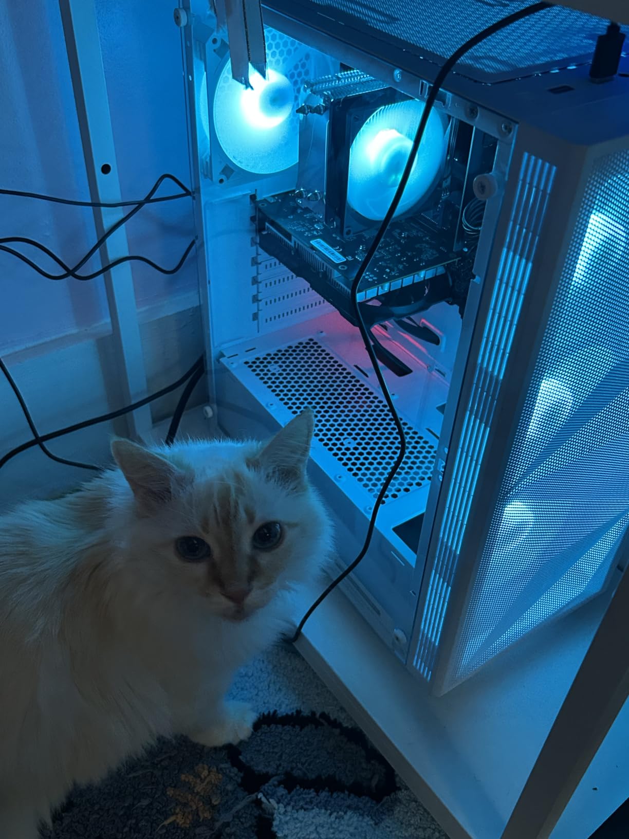 STGAubron Gaming PC Computer Desktop, Intel Core i7 up to 3.9GHz, Radeon RX 580 8G Video Card, 16GB RAM, 1TB SSD, WiFi 6, BT 5.0, RGB Fan x 6, Windows 11 Home customer photo 1