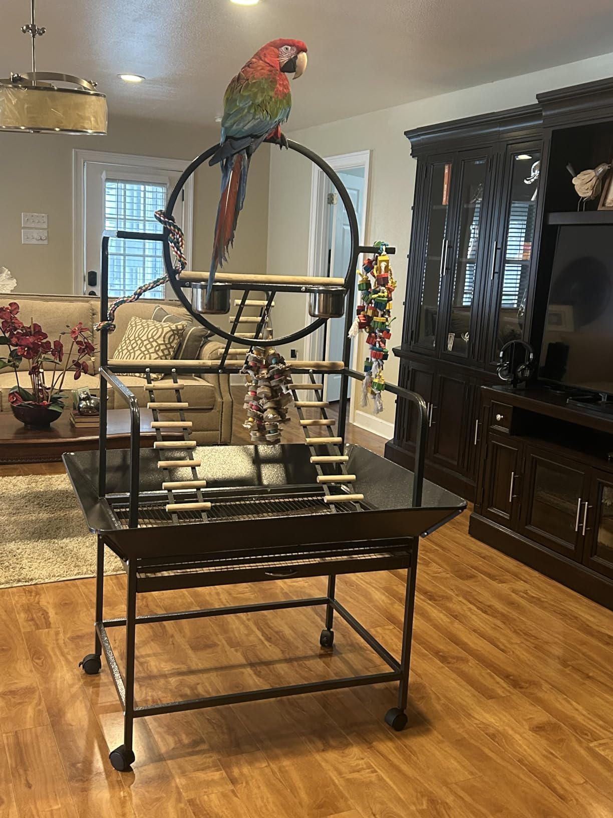 Garvee 64'' H Inch Birdcage Stand Play Center with Perches and Ladders customer photo 1