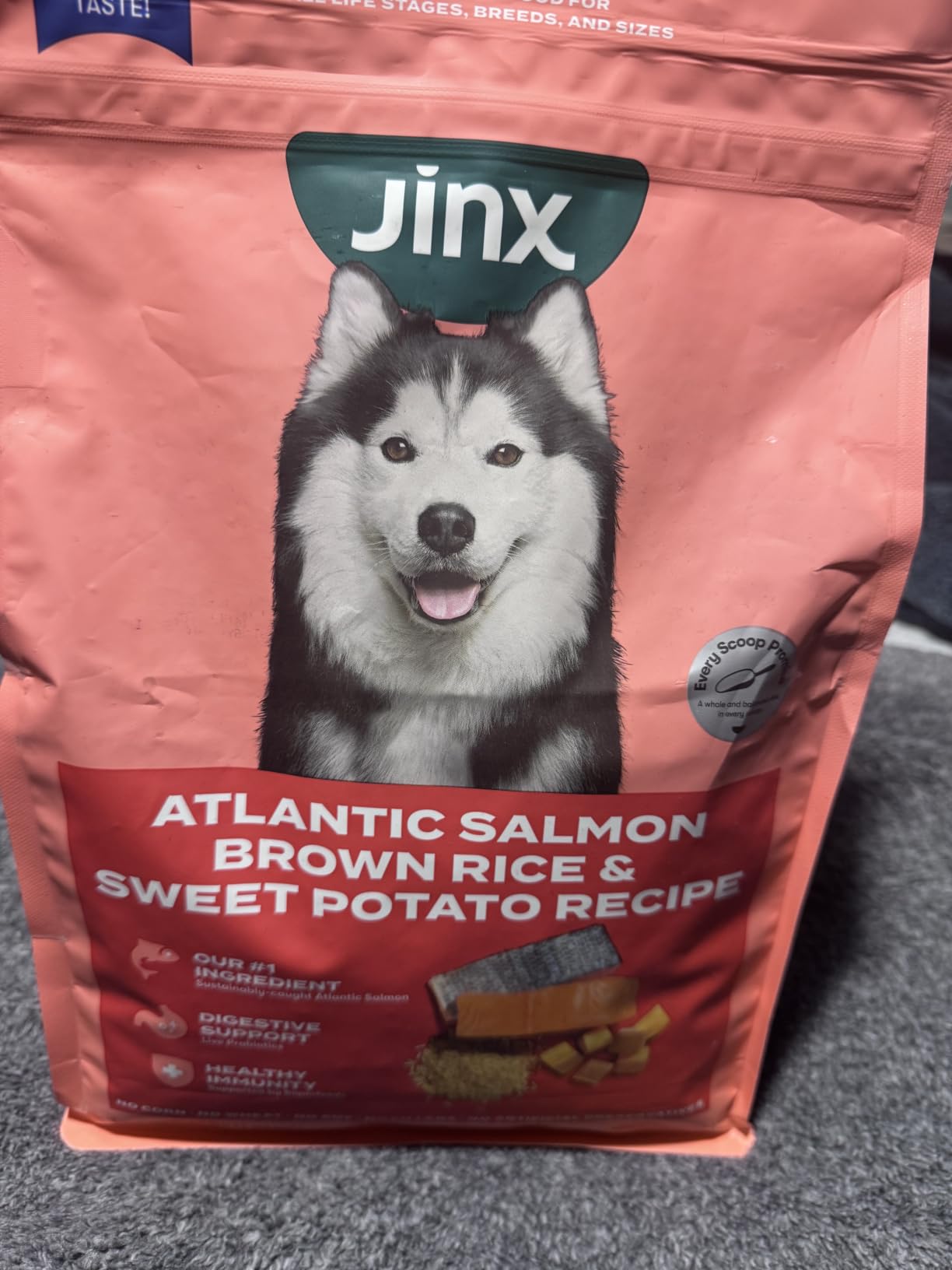 Jinx Senior Dry Dog Food - Real Chicken, Brown Rice & Sweet Potato, 4lb customer photo 2
