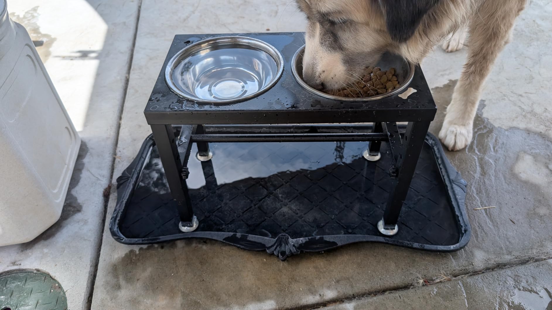 SHAINFUN Elevated Dog Bowls with Mat for Large & Extra Large Dogs, Raised Dog Bowl Stand with 2 Stainless Steel Bowls, Tall Dogs Food Water Bowl Holder customer photo 2