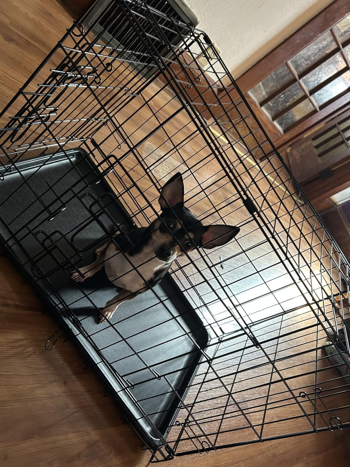 Sweetcrispy Dog Crate 42 Inch, Medium Large Dog Cage, Foldable Pet Kennel customer photo 2