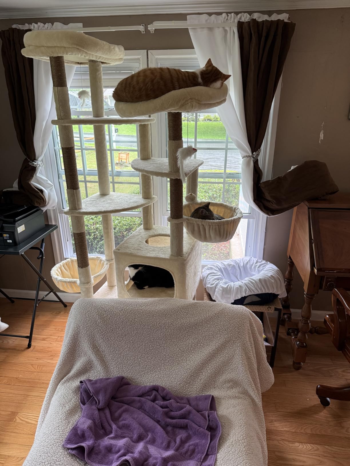 Globlazer S74E Pro Heavy Duty Maine Coon Cat Tree for Large Cats, Beige customer photo 1