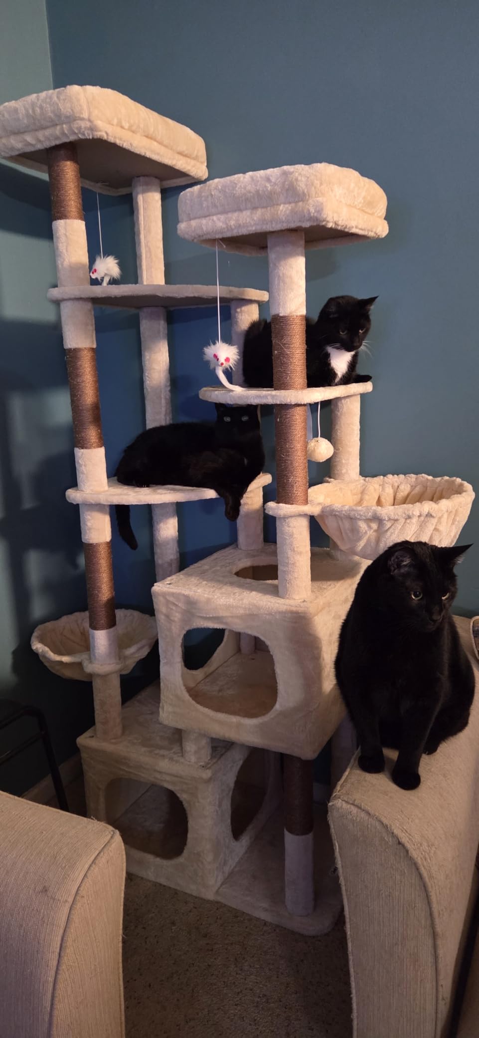 Globlazer S74E Pro Heavy Duty Maine Coon Cat Tree for Large Cats, Beige customer photo 2