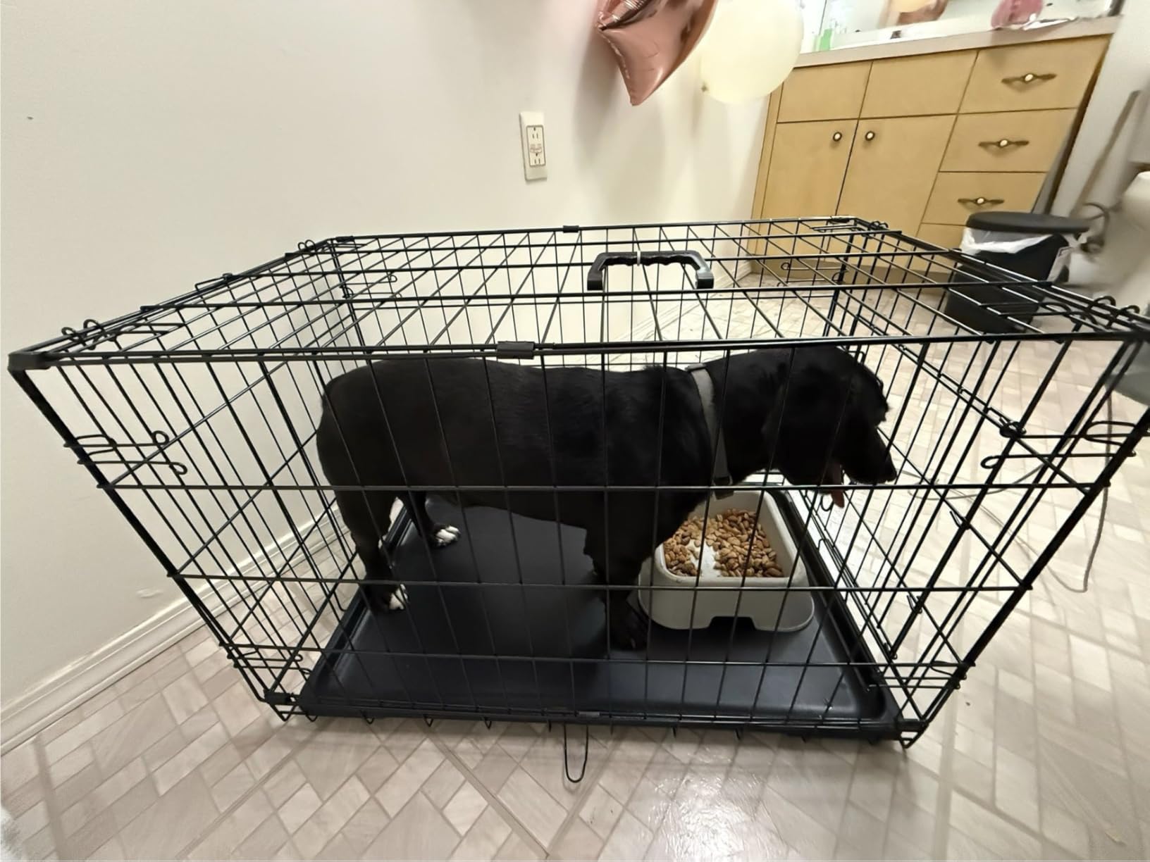 DUMOS 24 Inch Dog Crate, Foldable Puppy Small Dog Cage Pet Kennel customer photo 1