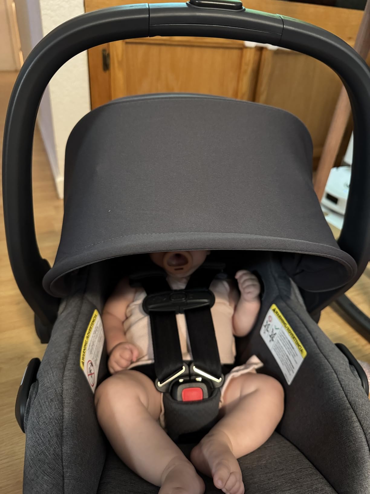 UPPAbaby Mesa V3 Infant Car Seat with Base, Insert & SmartSecure - Ada customer photo 2