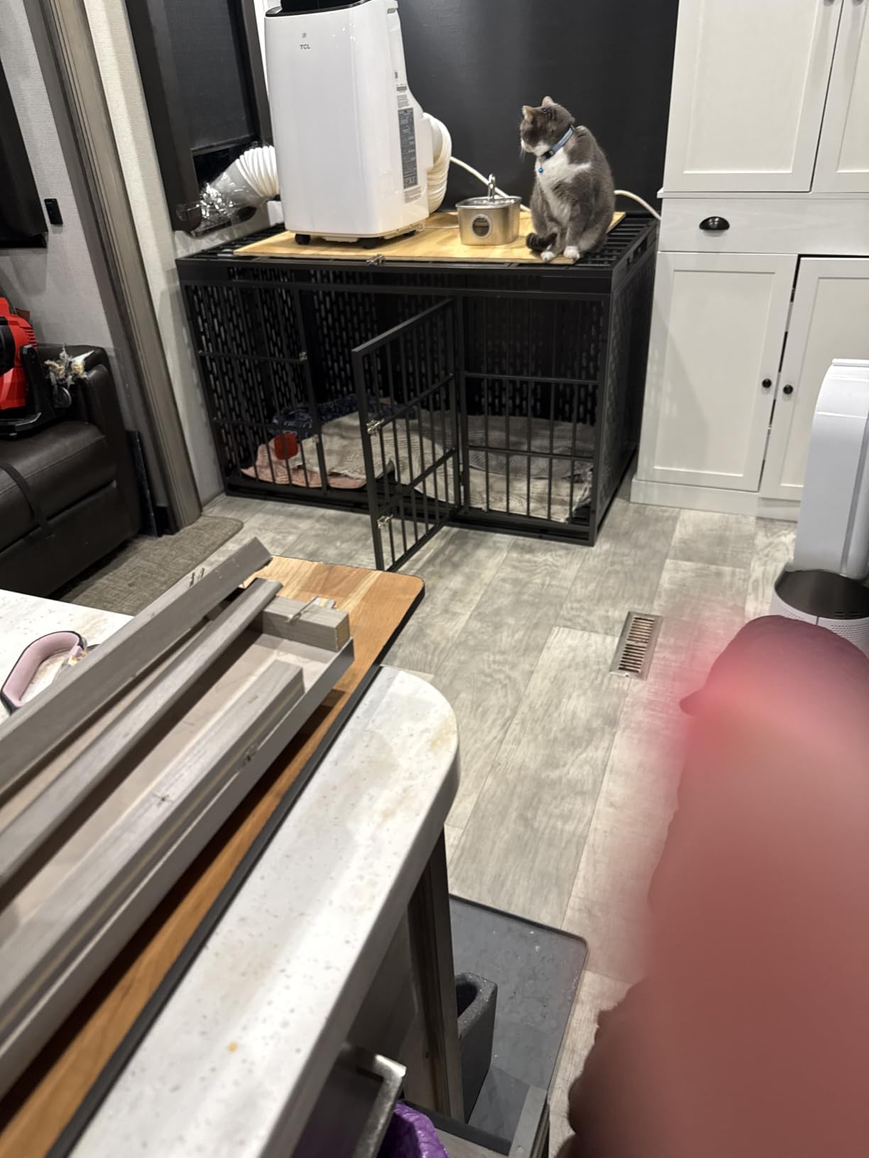 48 Inch Heavy Duty Dog Crate with Wheels,Indestructible Escape-Proof Dog Kennel with Locking Latch and Double Door,Extra Large XL XXL Crate Indoor for Large and Medium Dog with Removable Tray customer photo 1