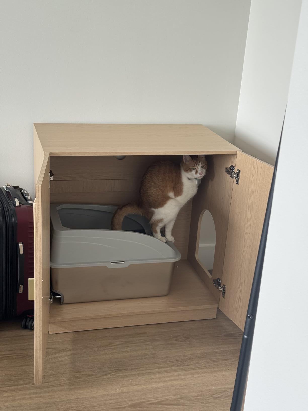 Amunrbrek Large Litter Box Enclosure, Fluted Hidden Cat Litter Box Cabinet with Storage, Symmetrical Curved Accent Sideboard Furniture (Natural) customer photo 2