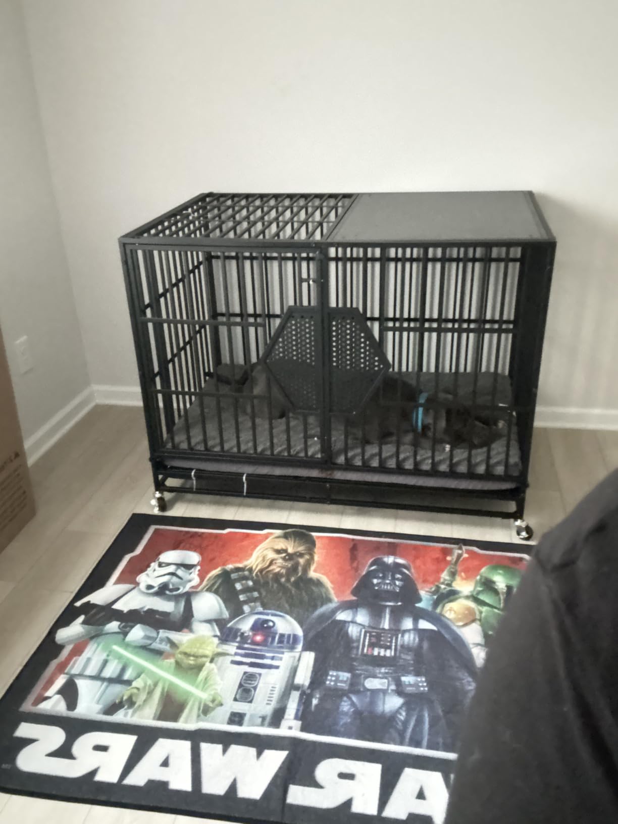 CAMMOO 48'' Heavy Duty Dog Crates for Large Dogs, Dog Kennel Indoor customer photo 1