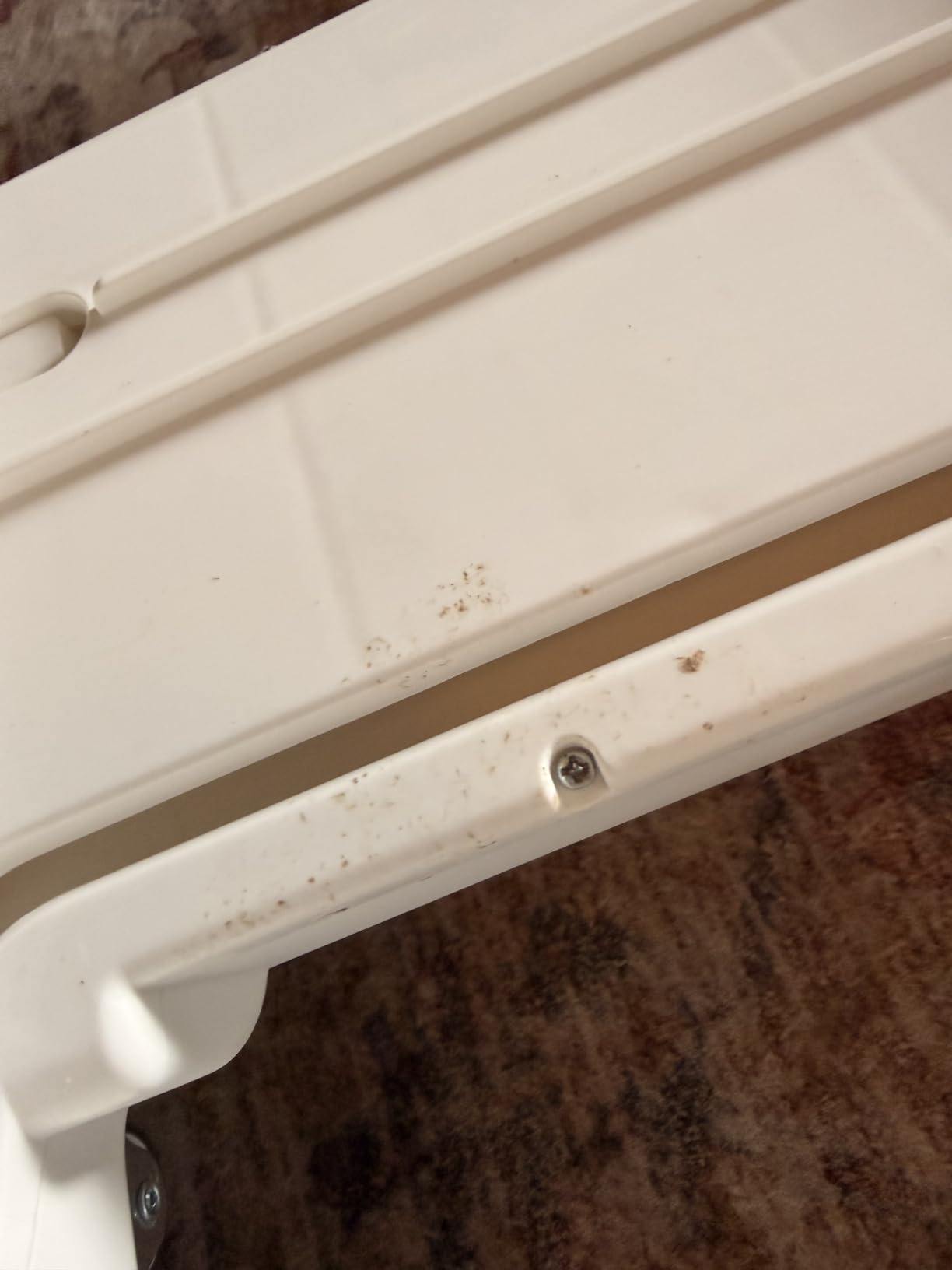Automatic Cat Litter Box Self Cleaning - App Control, Open-Design, Smart Health Monitor, Suitable for Medium Cats and Kittens, Anti-Pinch Safety, Quiet Operation - White customer photo 1