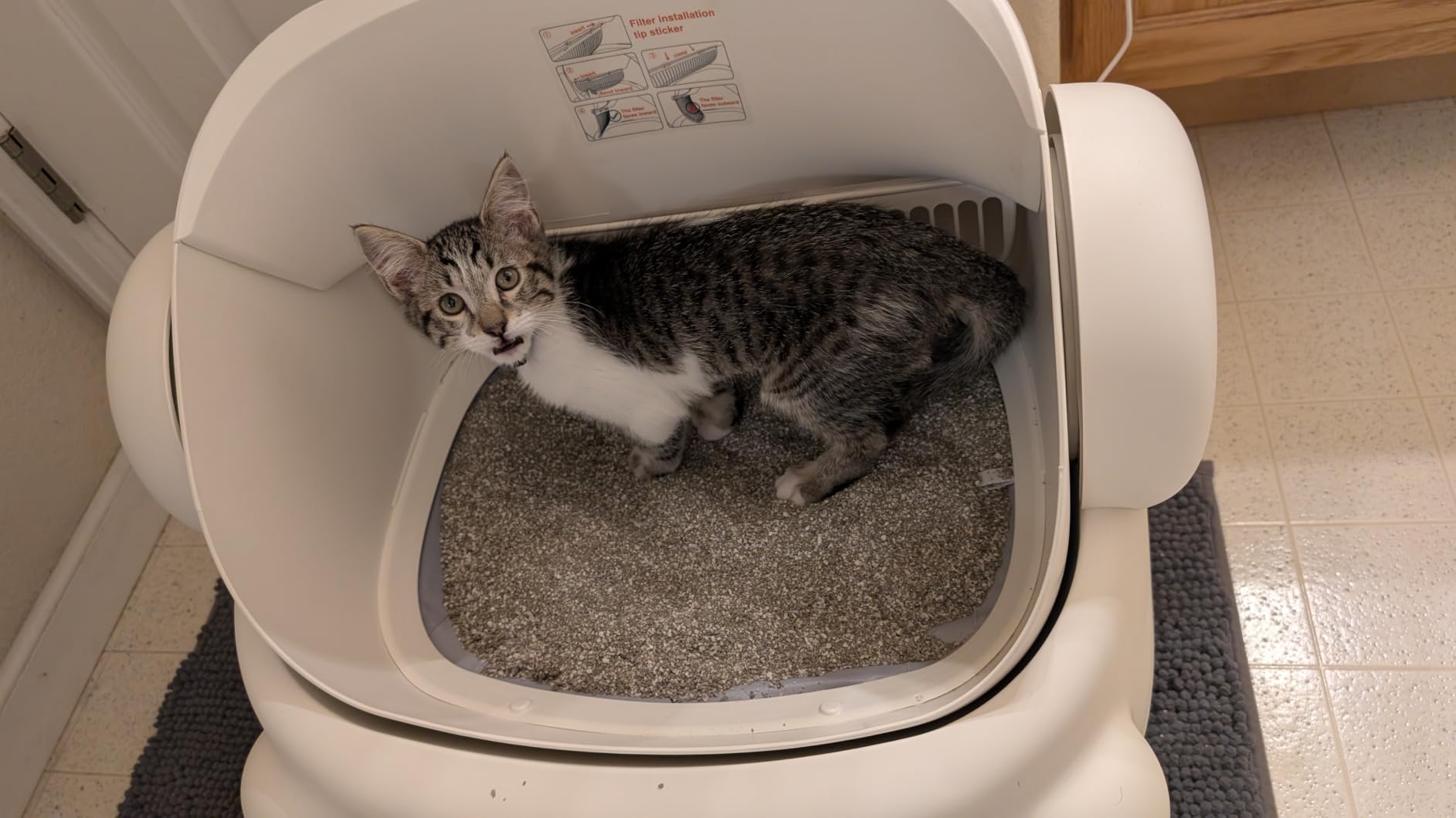 Paruuntys Automatic Litter Box,Safety Sensor,App Control,Open-top Design customer photo 1