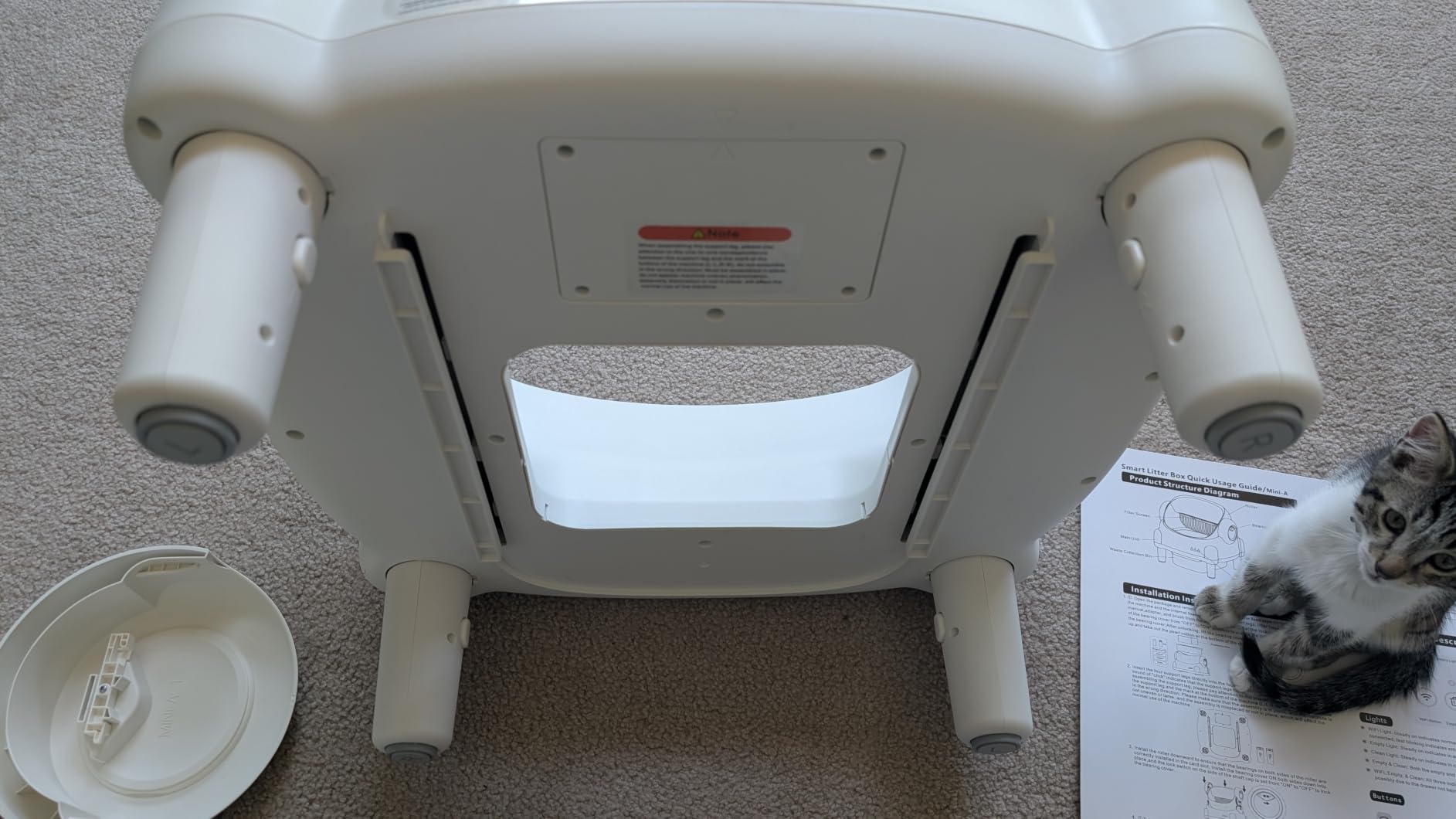 Paruuntys Automatic Litter Box,Safety Sensor,App Control,Open-top Design customer photo 2