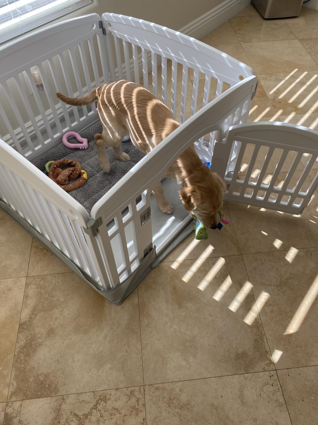 Sweetcrispy Dog Playpen, Plastic Puppy Pet Fence, 4 Panels 24 Inch customer photo 1
