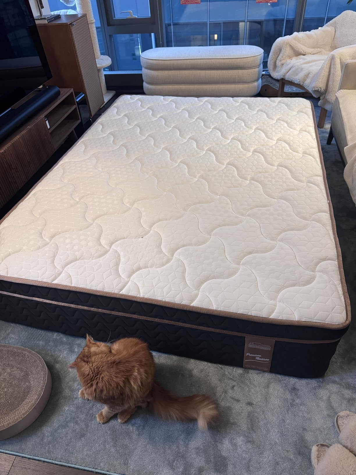 Firm Queen Mattress 14 Inch, Luxury Hotel Cooling Hybrid Mattress in a Box customer photo 1
