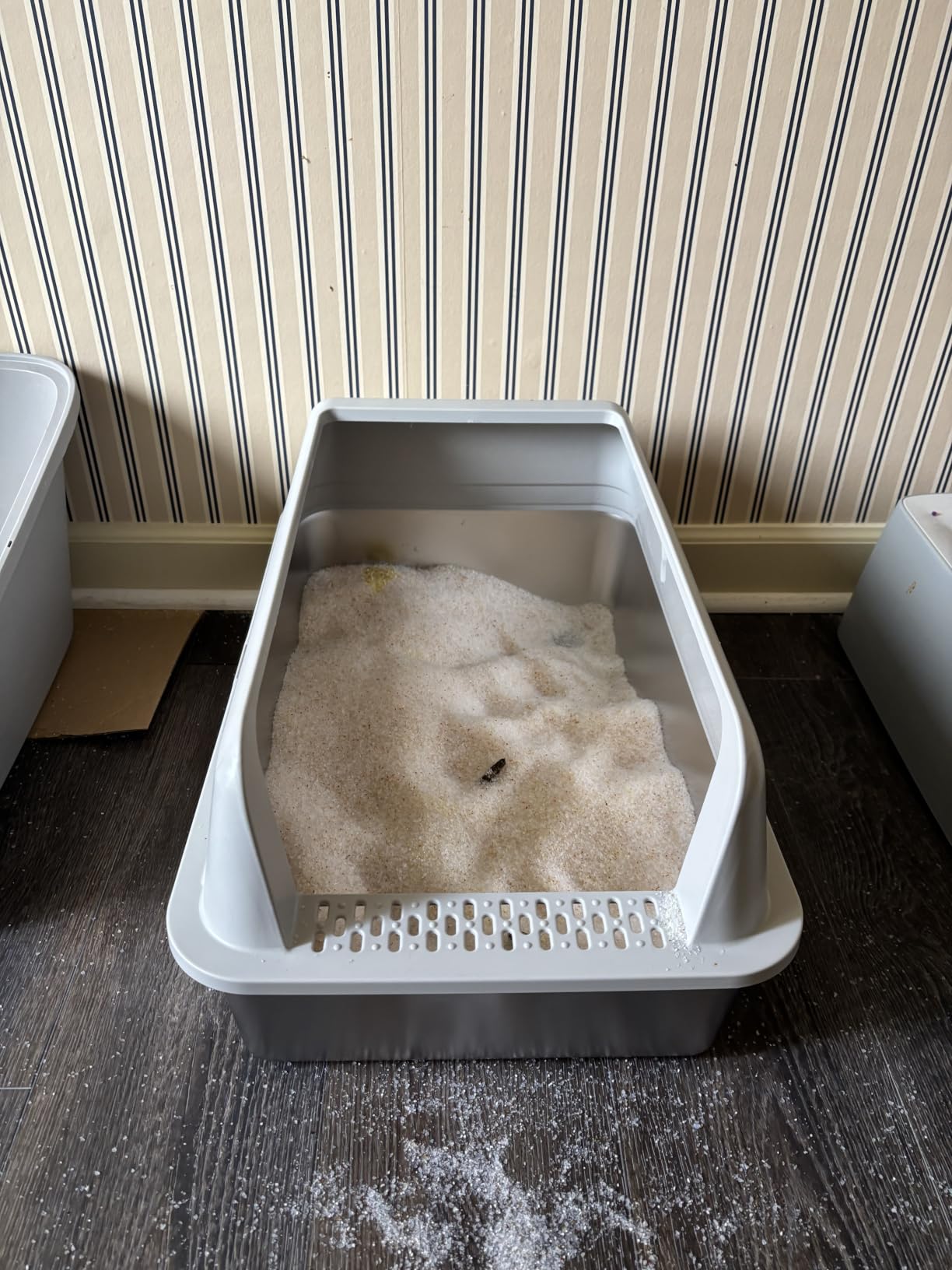 Self Cleaning Open Top Automatic Multiple Cat Litter Box, White customer photo 1