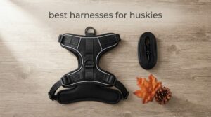 best harnesses for huskies