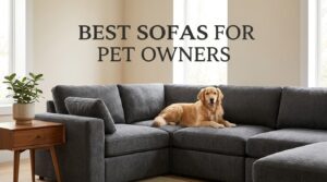 best sofas for pet owners