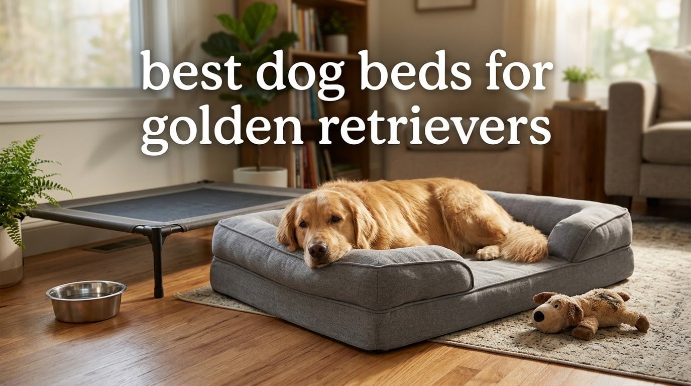 best dog beds for golden retrievers