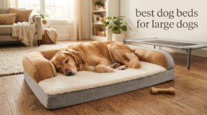 best dog beds for large dogs
