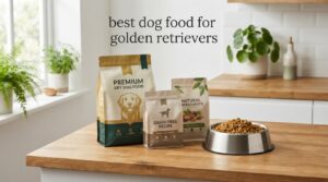 best dog food for golden retrievers