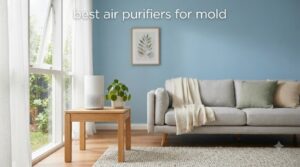 best air purifiers for mold
