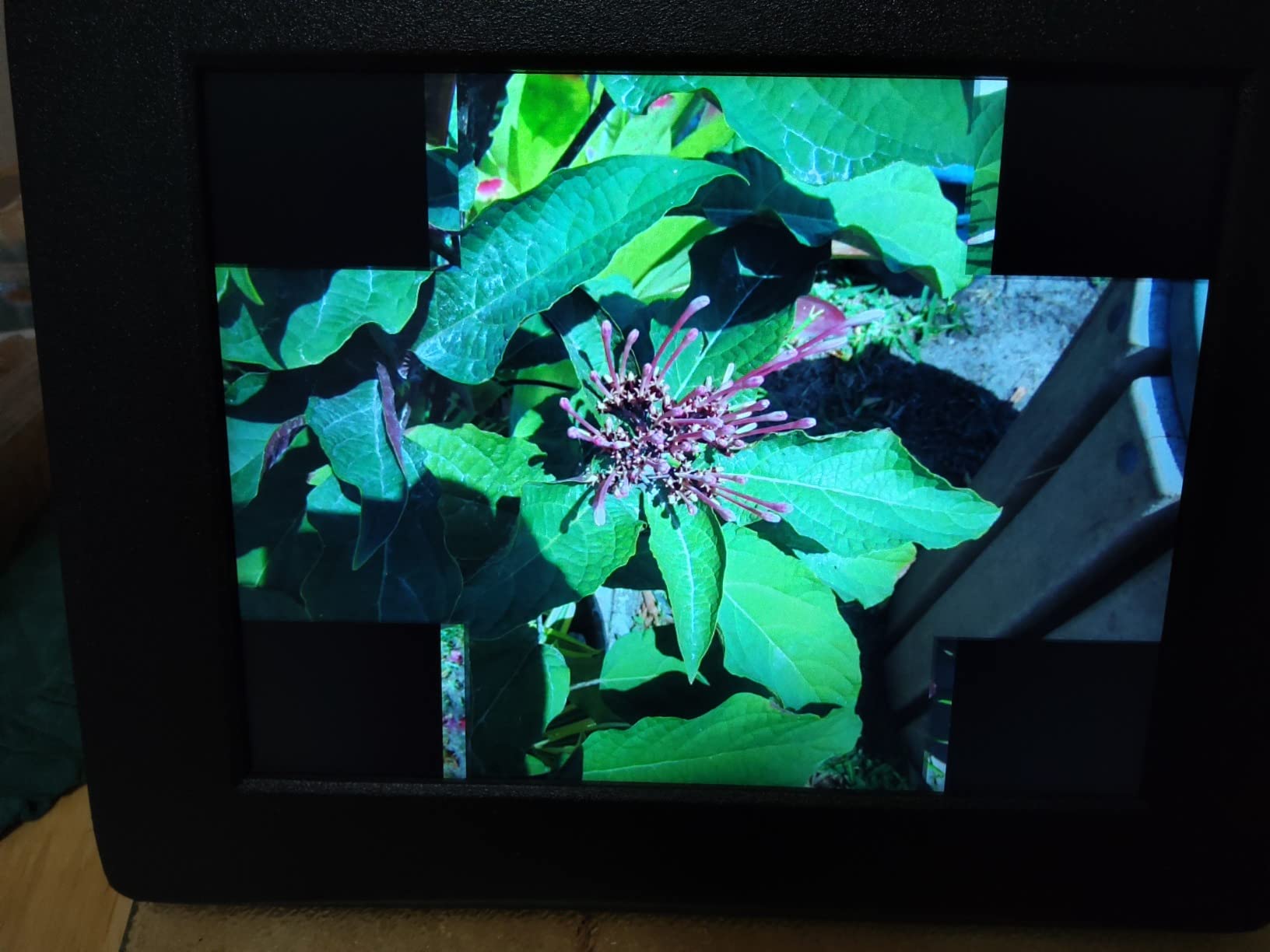 Aluratek 8 Inch LCD Digital Photo Frame with Auto Slideshow Using USB SD/SDHC (ADPF08SF) - Black customer photo 1