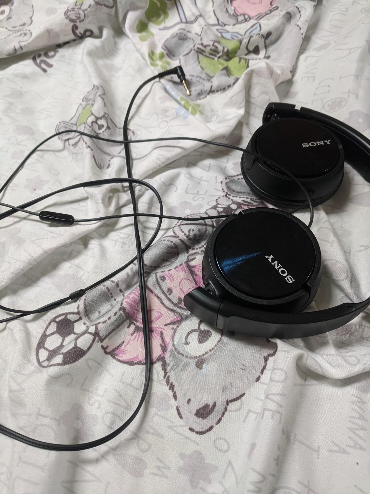 Sony MDR-ZX310AP customer photo 1