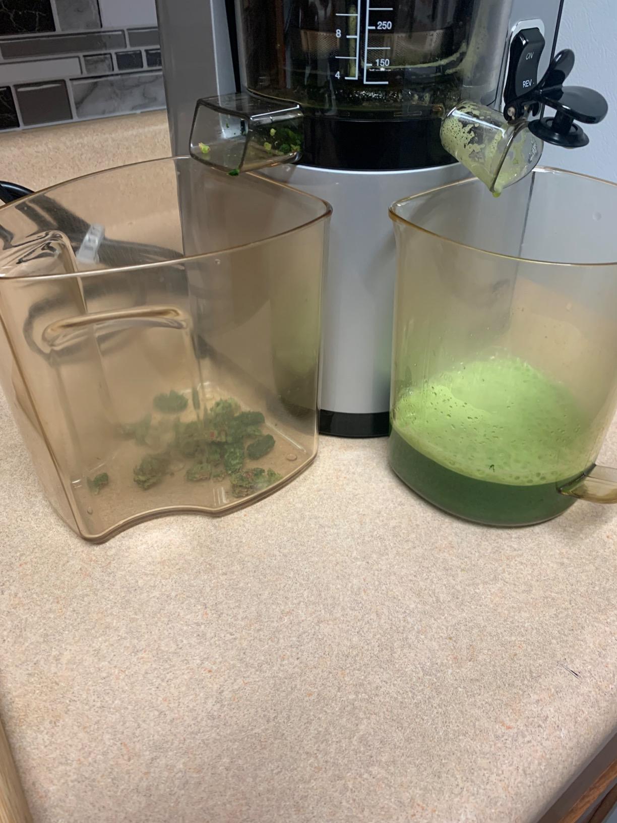 Omega Pure Press Cold Press, Vertical Low-Speed Juicer, in Red (VSJ843QR) customer photo 2