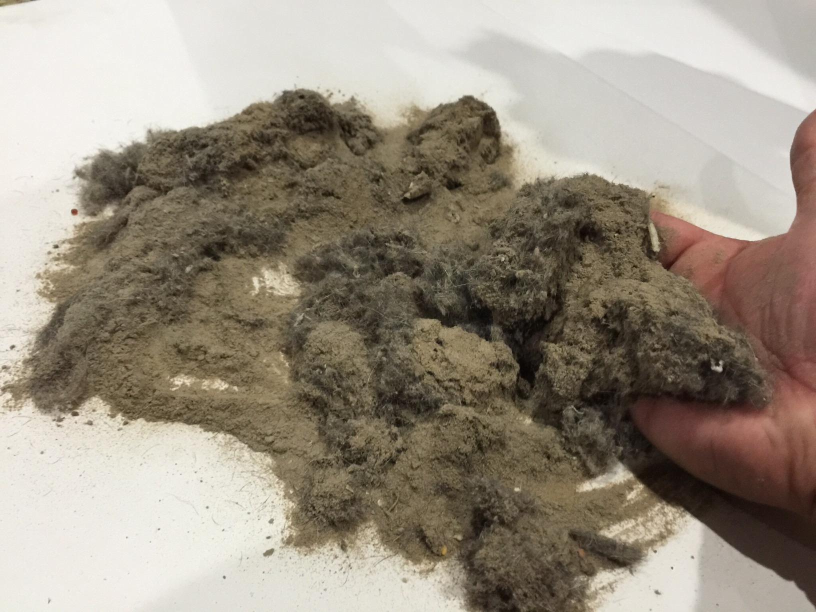 Dyson Ball Allergy Upright Vacuum customer photo 1