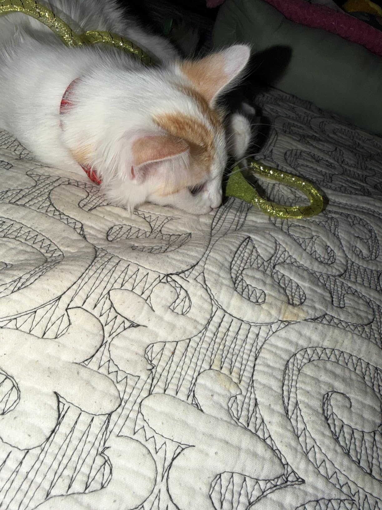 Fashion's Talk Cat Toy Pack customer photo 2