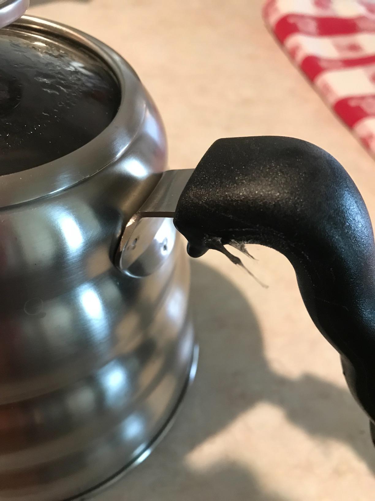 Bean Envy Gooseneck Kettle Stovetop - Pour Over Kettle with Thermometer customer photo 1