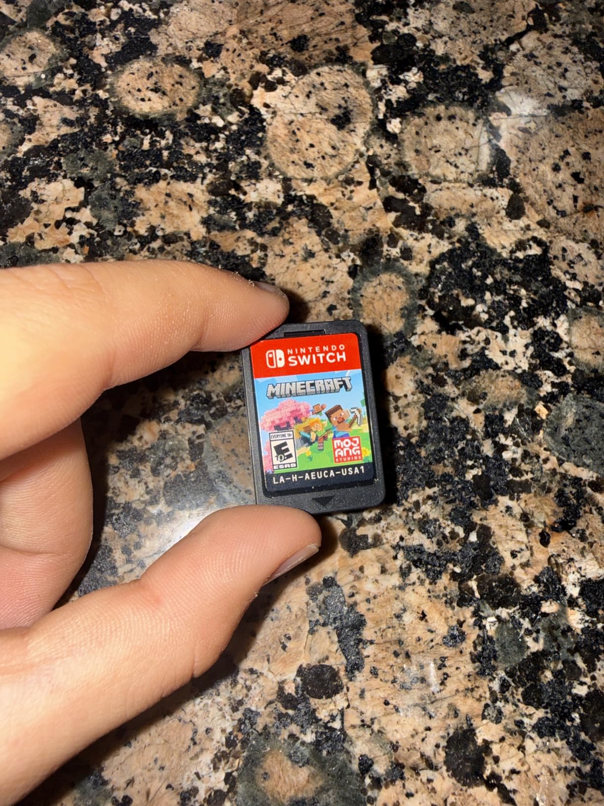 Minecraft Switch customer photo 2