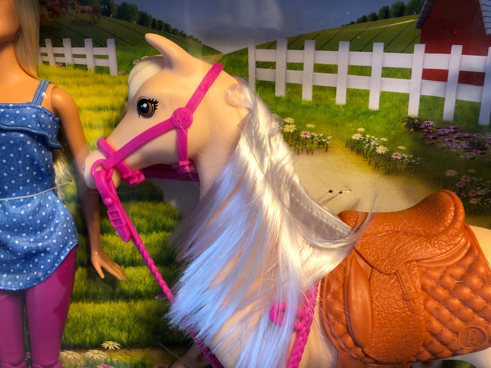 Barbie Doll and Horse Set customer photo 1