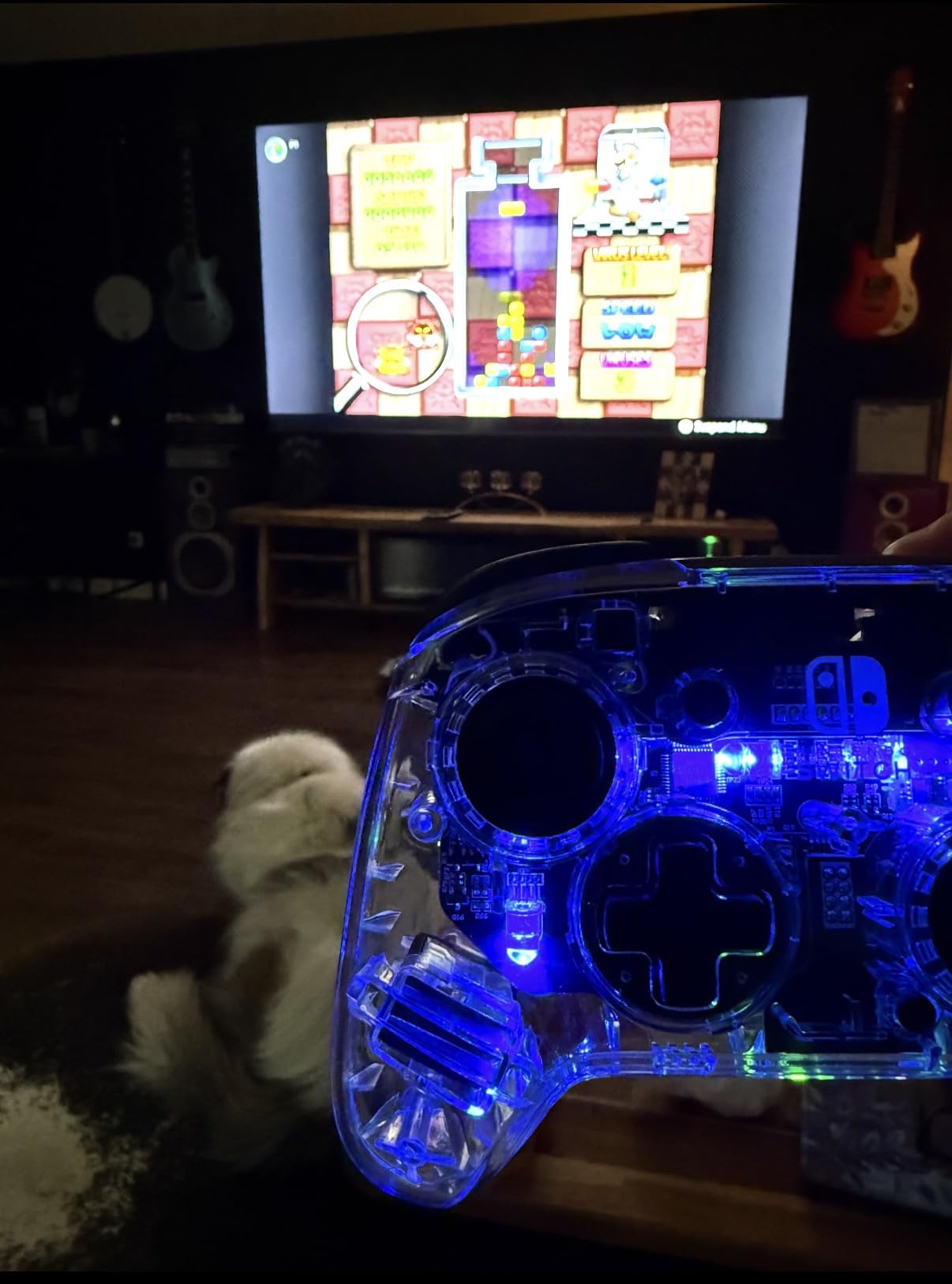 PDP Afterglow RGB customer photo 1