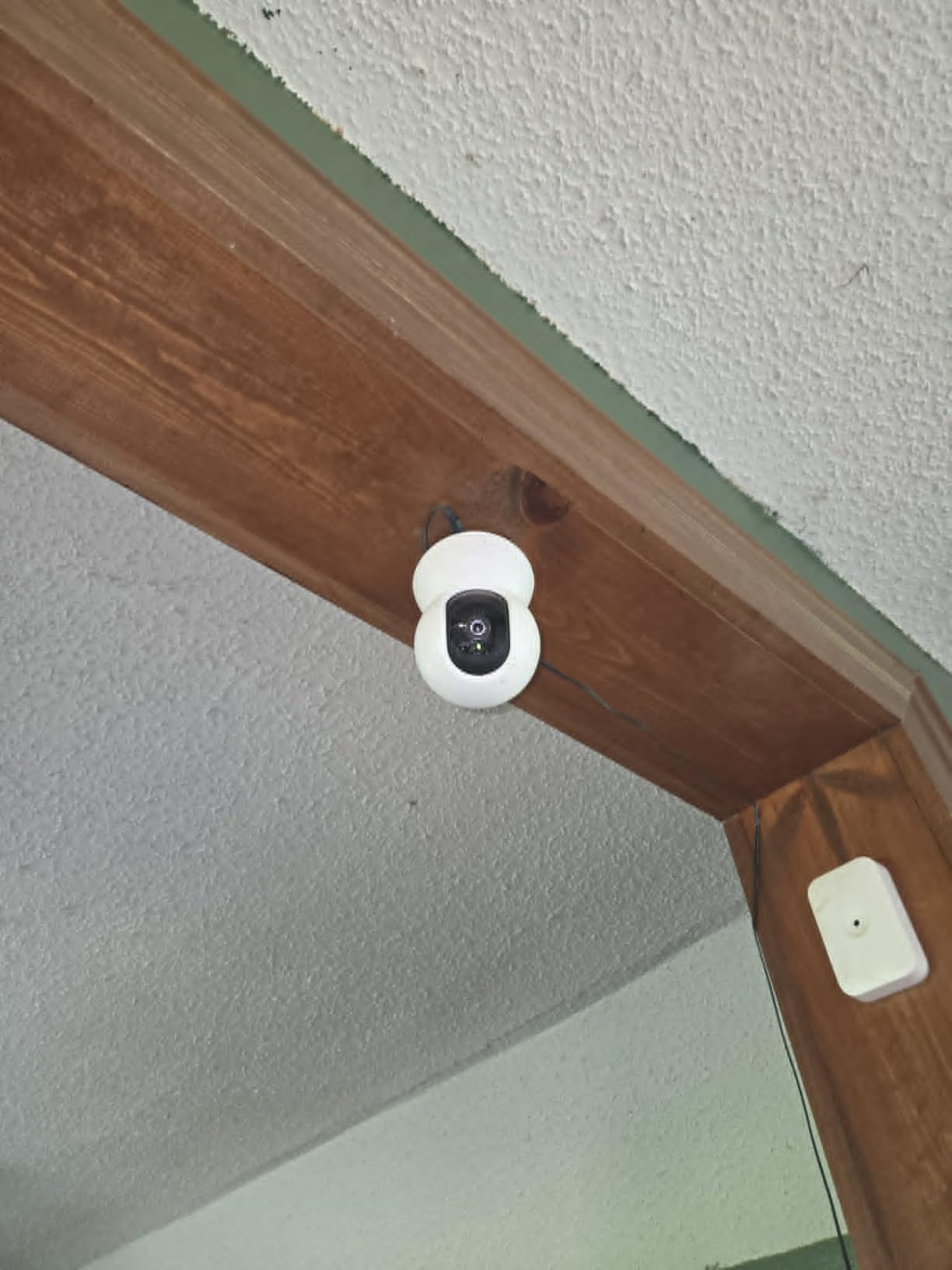 Tapo 1080p Pan/Tilt Security Camera for Baby Monitor, Pet Camera, C200 customer photo 2