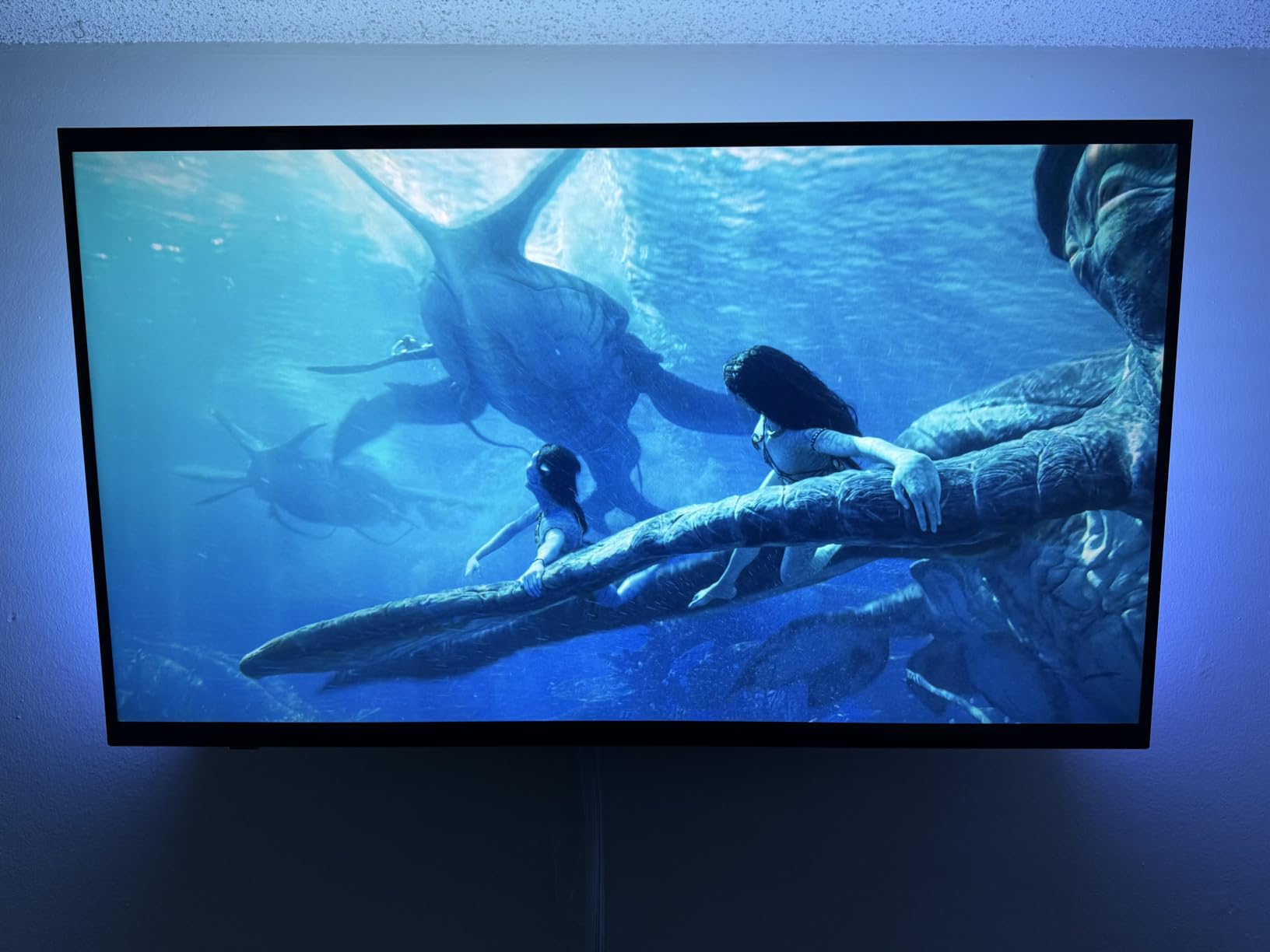 Philips Hue Play Gradient 65-inch customer photo 1