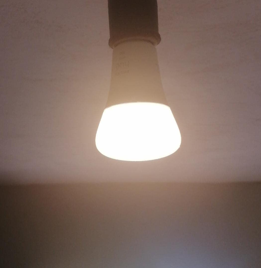 Philips Hue White A19 Bulb customer photo 1