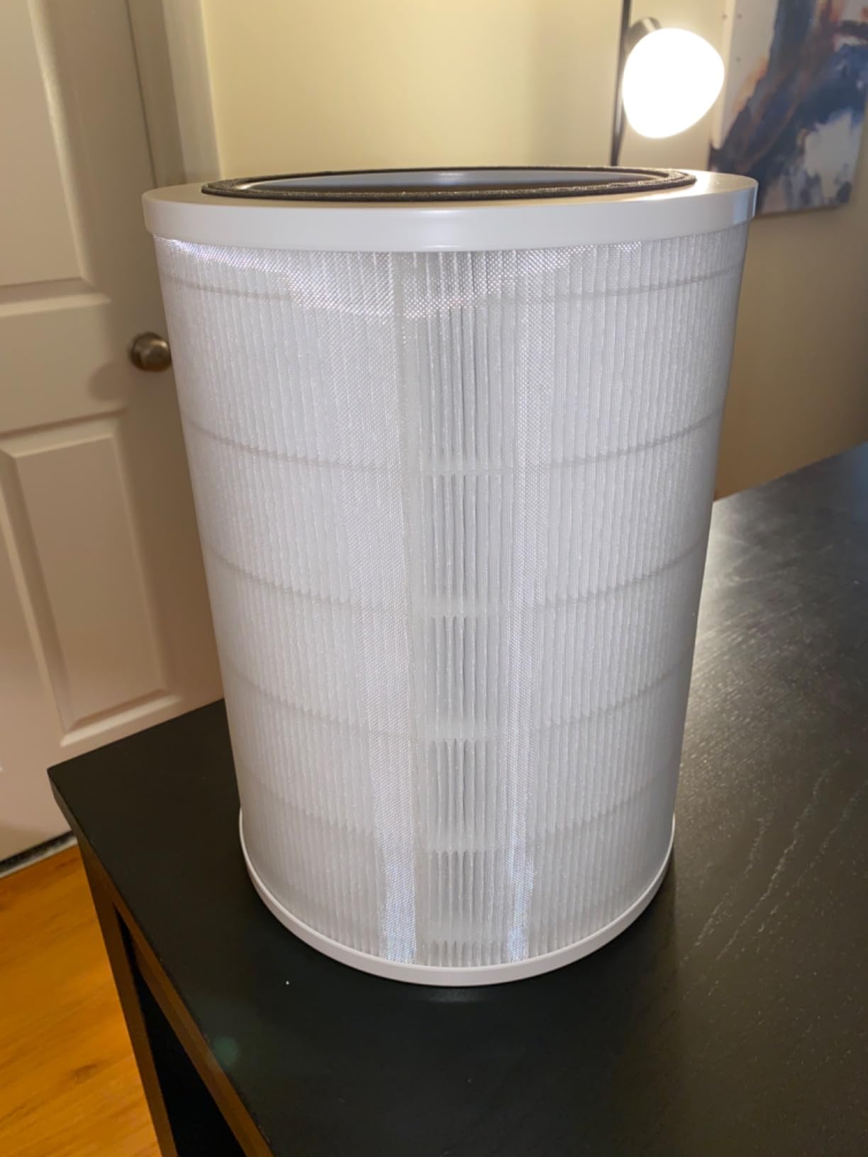 Clorox Large Room HEPA Air Purifiers for Home With True HEPA Filter customer photo 1
